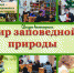 Видео викторина «Мир заповедной природы». - Городищенская МЦРБ