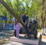 Экскурсия «Город, который я люблю» - Городищенская МЦРБ