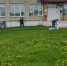 Благоустройство поселений Городищенского района - Городищенский район