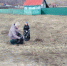 Участие в уборке территории с. Канаевка. - Городищенская МЦРБ