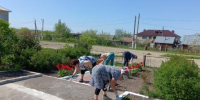 Патриотическая акция «Чистый памятник». - Городищенская МЦРБ