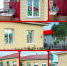 Всероссийская акция «#ЦветаРодины» - Городищенская МЦРБ