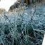 Заморозки в воздухе и на поверхности почвы - 0, - 2°C сохранятся местами по Пензенской области в ночные и утренние часы 16 cентября 2025 года - Городищенский район