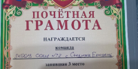 Зональные соревнования по футзалу среди команд общеобразовательных организаций "Кожаный мяч - Школьная футбольная лига" - Городищенский район