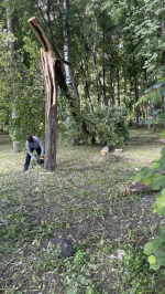 В рамках областного субботника в Городищенском районе проведены работы по благоустройству и санитарной очистке территорий населённых пунктов