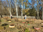 В  Городищенском  районе  в рамках  областного субботника  проведены работы по благоустройству и санитарной очистке территорий населённых пунктов